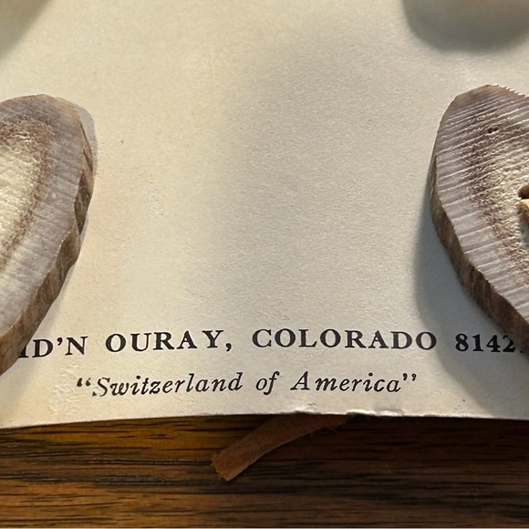 Vintage Rustic Deer Horn Button Set of 4 - Picture 2 of 4